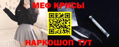 стаф Кингисепп
