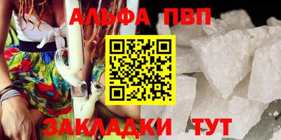стаф Кингисепп
