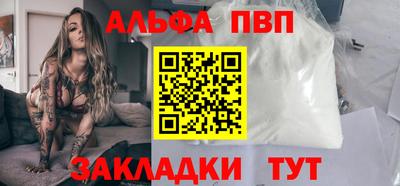 стаф Кингисепп