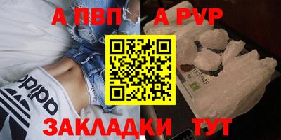 стаф Кингисепп