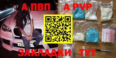 стаф Кингисепп